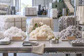Asia cotton markets diverge: China drops 2.56%, India holds firm