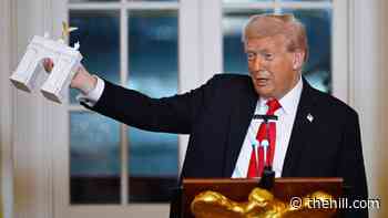 House Republican signals opposition to                 using military funds for Trump’s arch