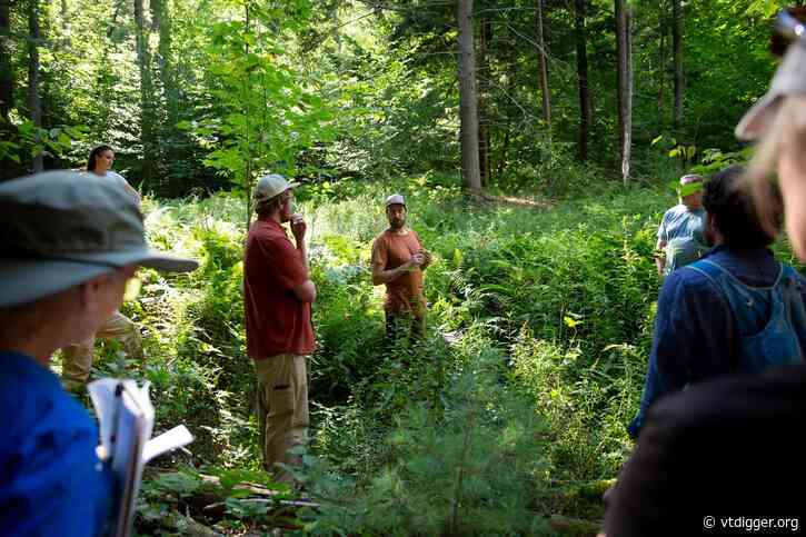 ‘We have more deer than our forests can support’: Norwich walk highlights browse damage