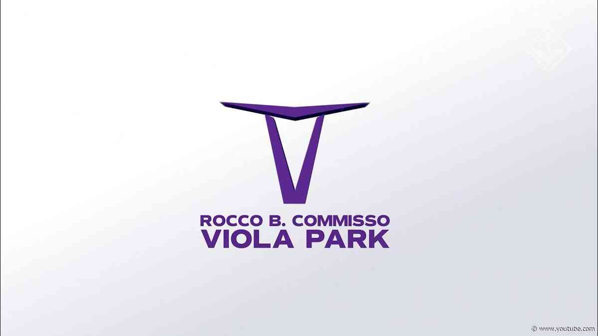 VIOLA DAILY LIVE - 15 SETTEMBRE 2026