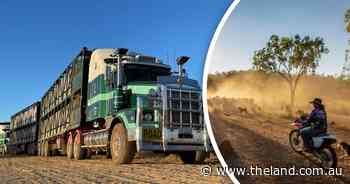 Eyes on the market: inside the seasonal turnaround filling desert paddocks with beef