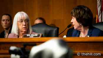 Collins, Murray speak out against reported Trump push to 'politicize grantmaking'
