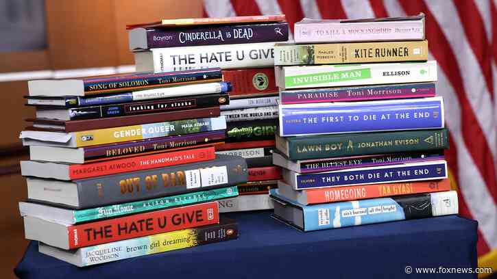 Georgia school district defends pulling 'sexually explicit' book depicting child rape amid 'censorship' claims