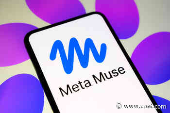No Shirt, No Shoes, No Service: Amazon Blocks Meta’s Muse AI From Shopping