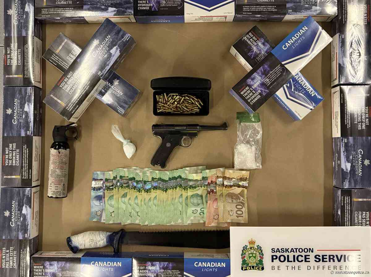 Arrest - Crime Reduction Team Investigation - Weapons, Drugs, Cigarettes Seized