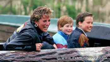 Prince Harry 'in talks' to make documentary about Princess Diana for 30th anniversary