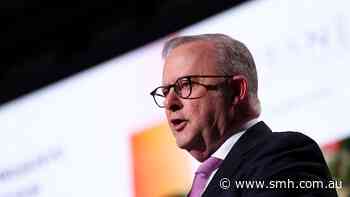 Albanese signs AI declaration with world leaders calling for international safeguards