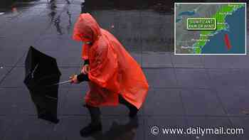 Millions across 17 US states warned to brace for surprise nor'easter in HOURS