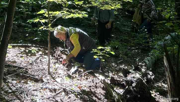 ‘The family is an entire town’ in Hinesburg