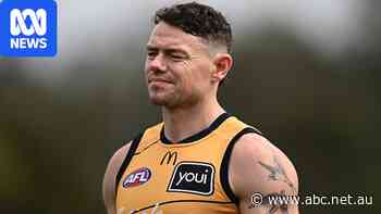 Lions 'praying' Neale gets off but confident they will cope if ban stands