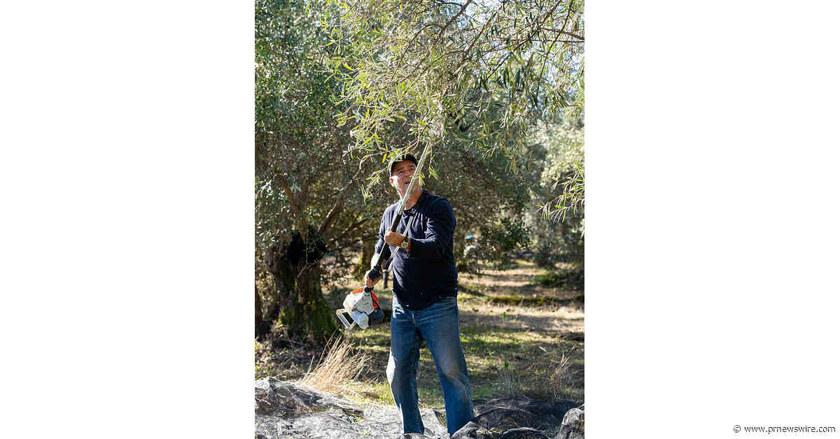 BEAUTY USUALLY STARTS IN A LAB. OURS STARTS WITH OUR OWN TREES