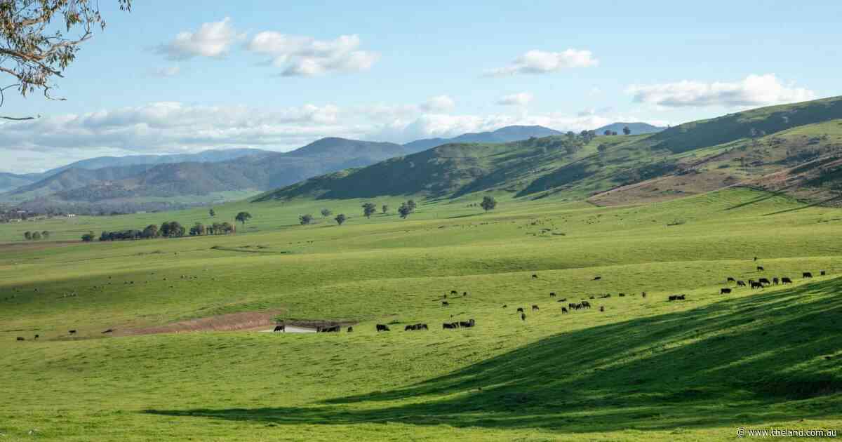 Ardenside Station presents as 12,997 acres of livestock excellence