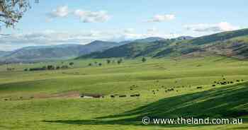 Ardenside Station presents as 12,997 acres of livestock excellence