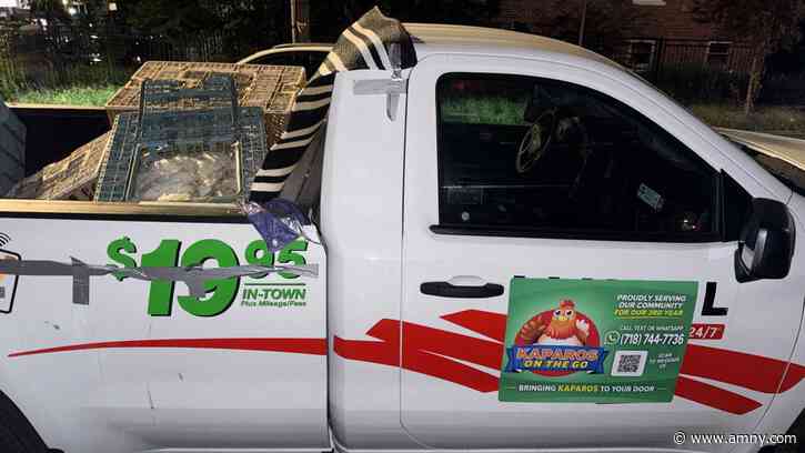 NYPD, animal advocates find hundreds of live chickens in Brooklyn, sparing them from slaughter