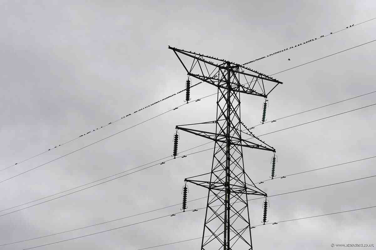 Household electricity bills could fall if time-varying prices promoted – report