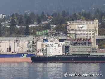 Exports up as Port of Vancouver handles record cargo at half-year mark