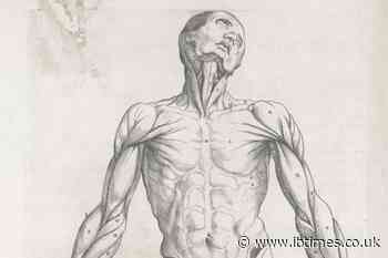 Body Worlds Opens in London as Expert Questions Consent for Sexualised Body Poses