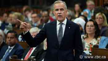 A consequential fall begins with familiar concerns and a new test for the Carney government
