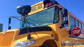 Woman hit by school bus in southwest Calgary succumbs to her injuries