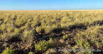 Huge, organically certified western Queensland property heads to auction