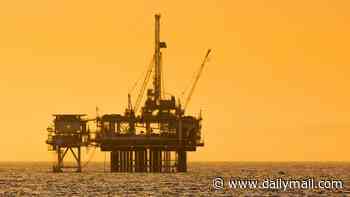 North Sea has lost 25,000 jobs under Labour: Industry chiefs demand windfall tax is scrapped