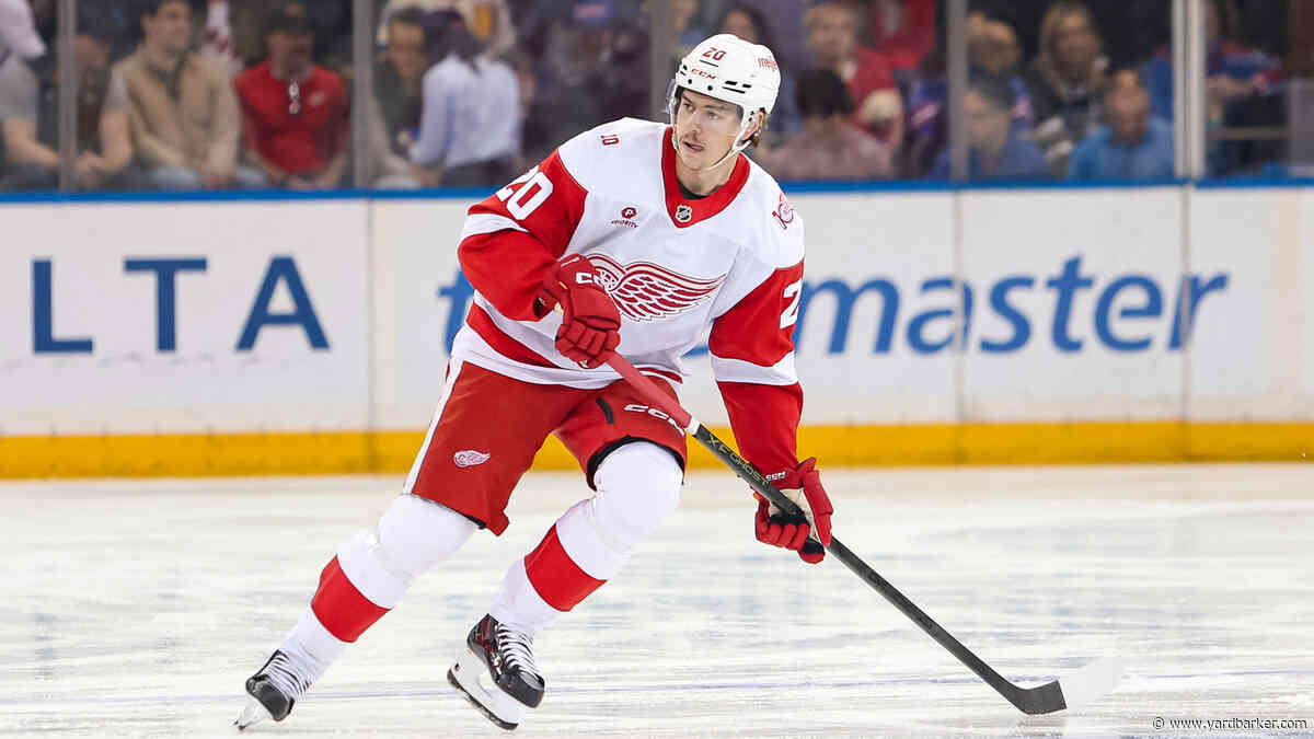 Five Things to Watch for in the Red Wings Preseason Games