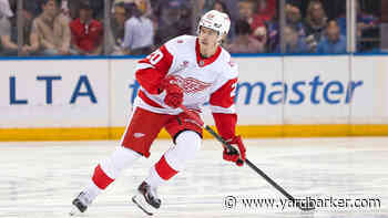 Five Things to Watch for in the Red Wings Preseason Games