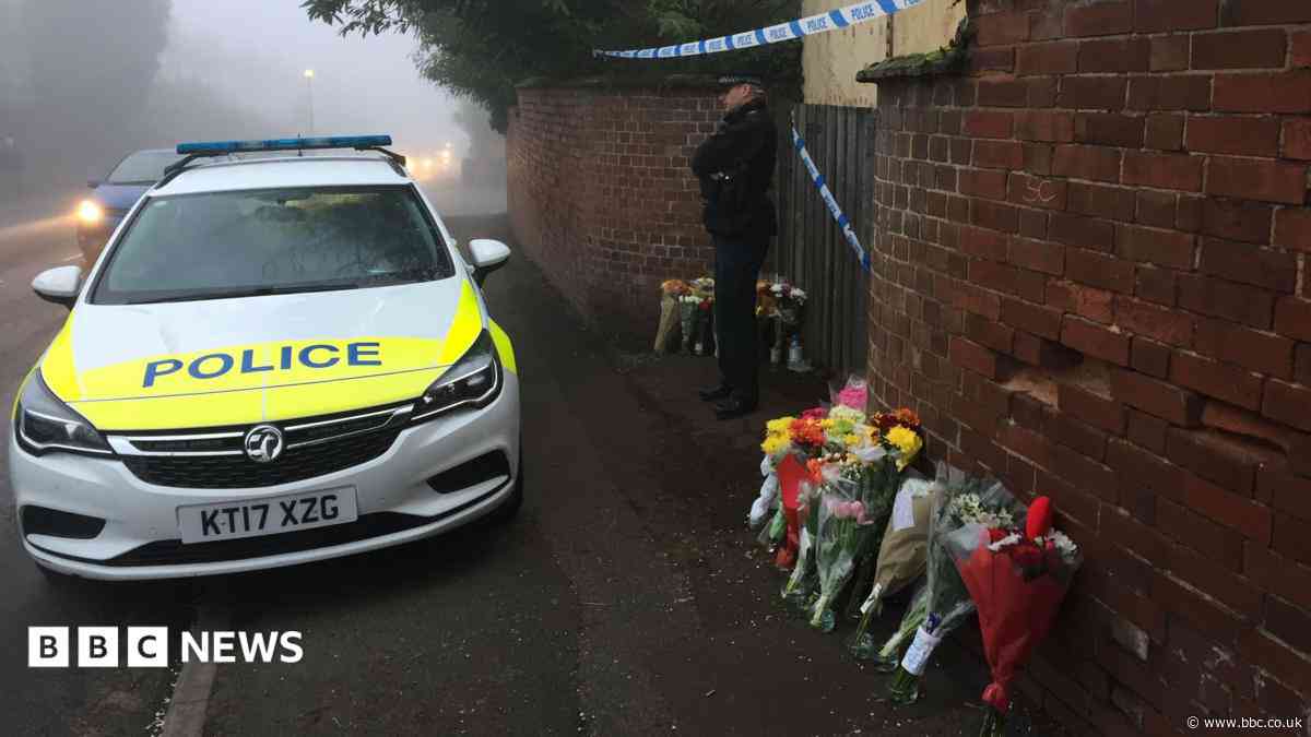 Triple killers' victims died of head injuries