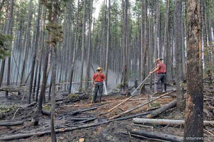 Investigation continues into wildfire that destroyed 100+ structures near Summerland