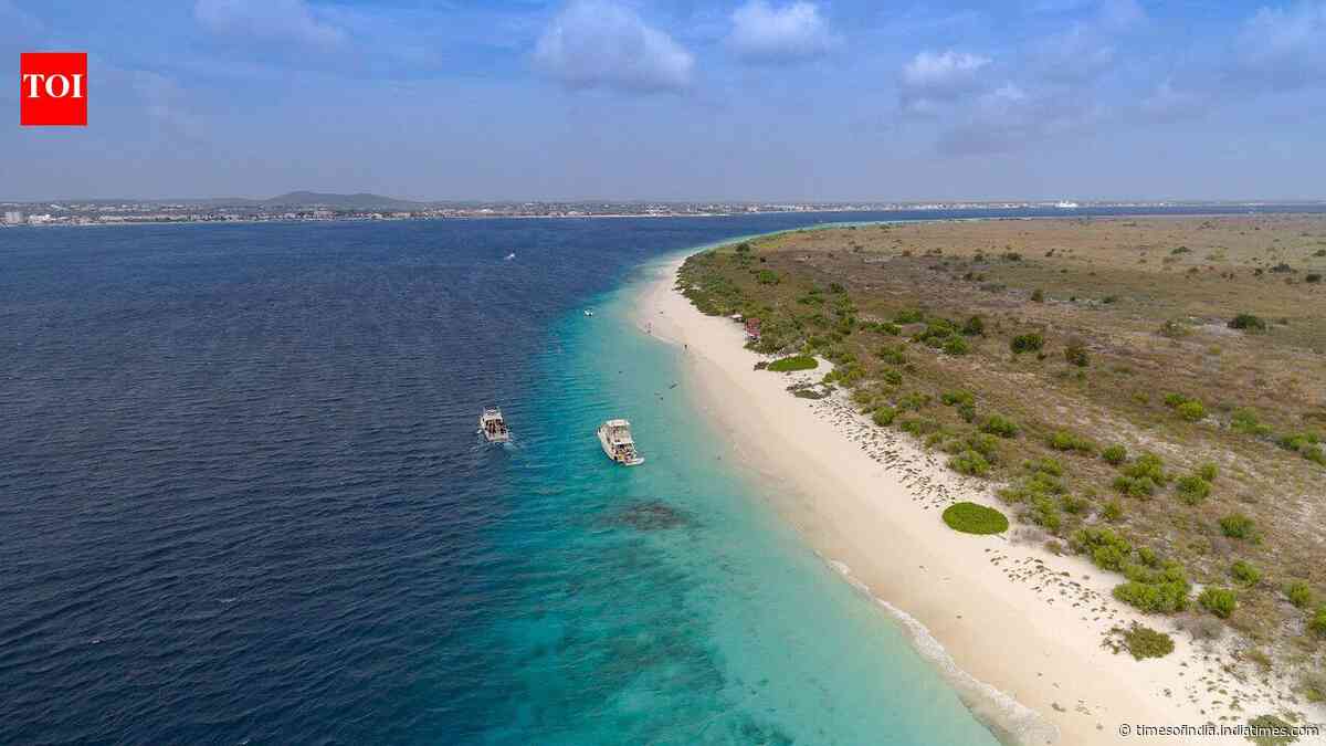 Bonaire fenced forest to keep goats out; years later, only 22 of 60 tree species returned