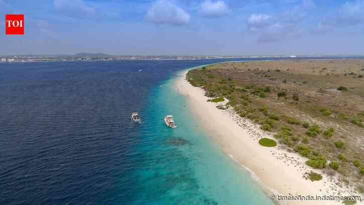 Bonaire fenced forest to keep goats out; years later, only 22 of 60 tree species returned