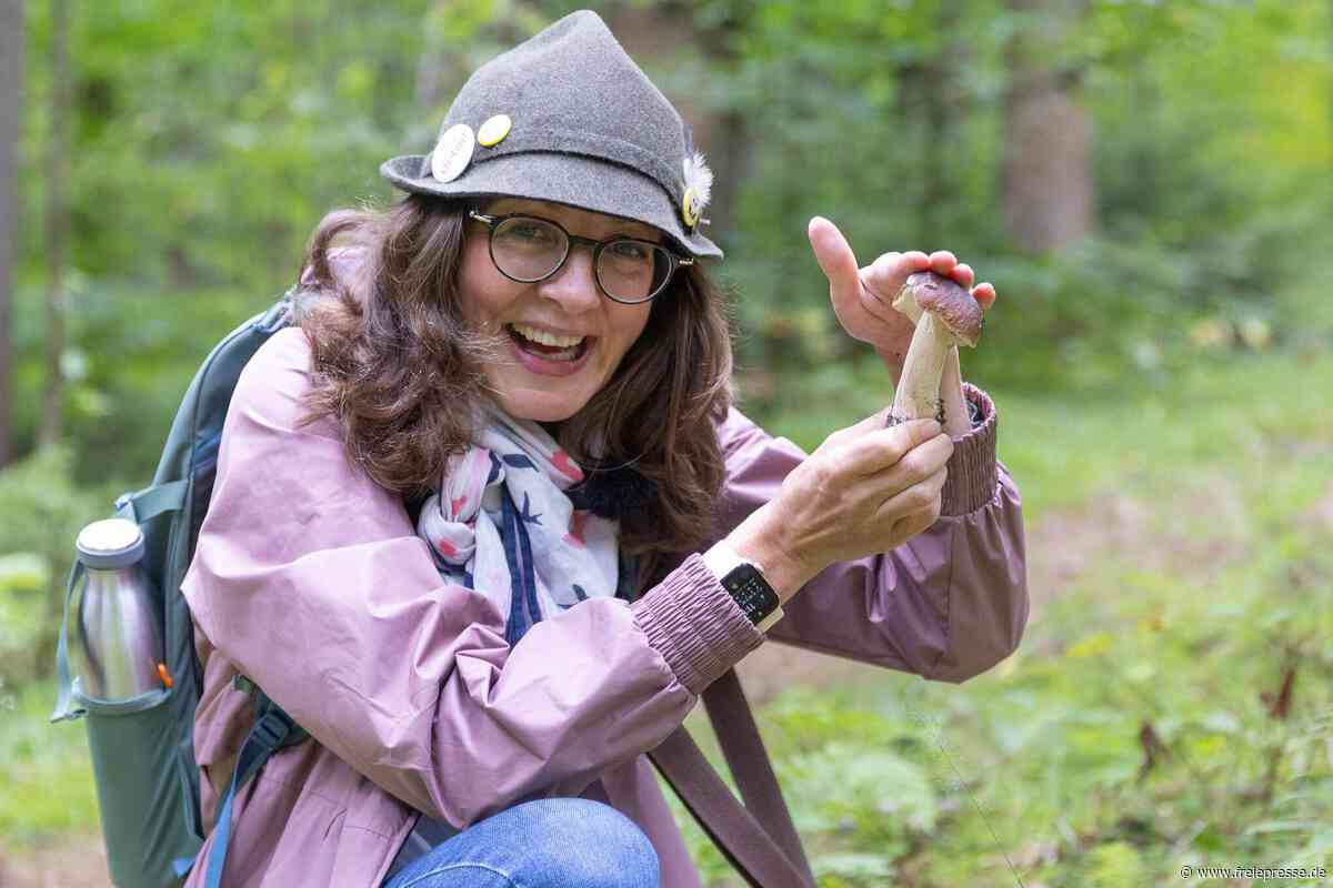 Warum das Erzgebirge aktuell ein Steinpilzparadies ist – im Wald mit Pilz-Peggi
