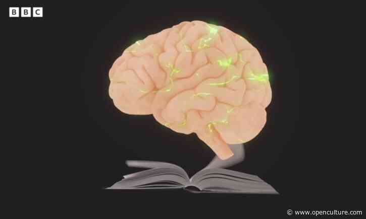 How Reading Changes the Way Your Brain Works