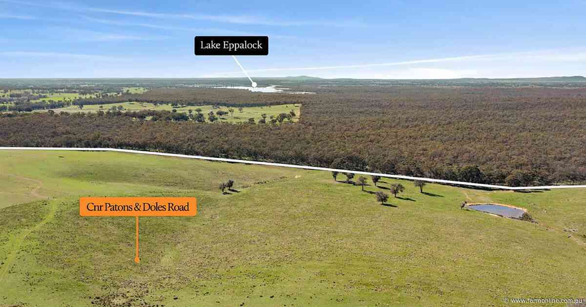 Bendigo district sheep farm sells for almost $3m after years on the market