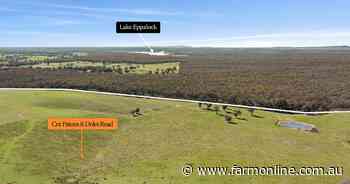Bendigo district sheep farm sells for almost $3m after years on the market