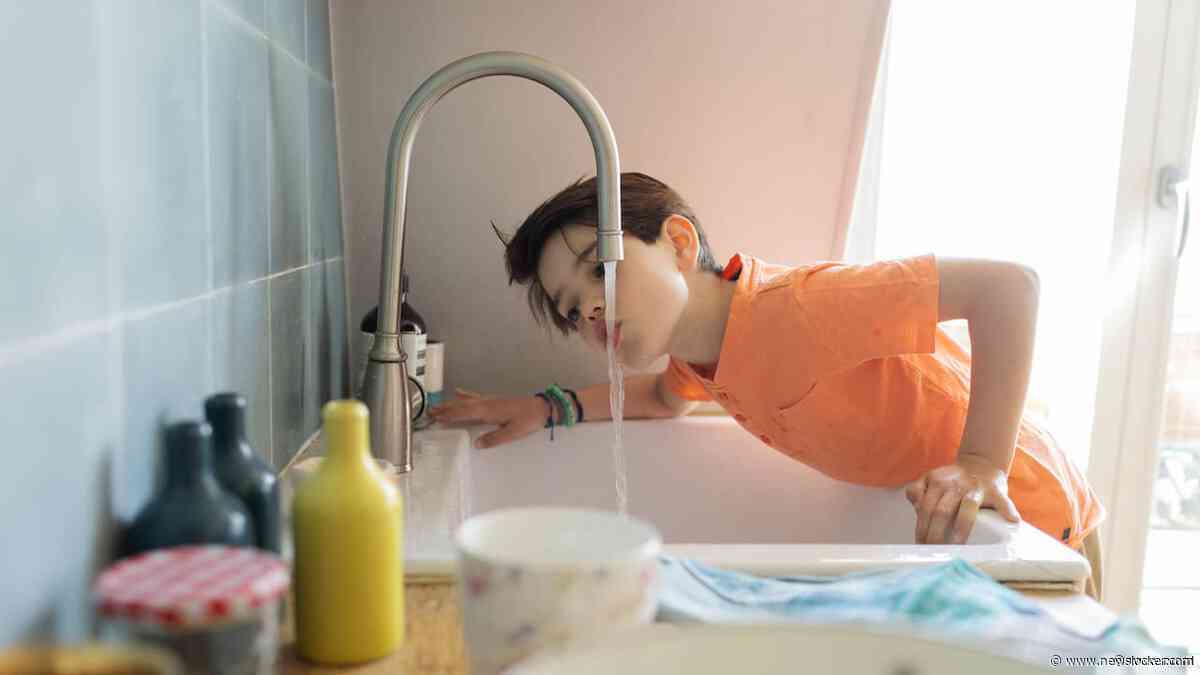 Bij veel Nederlanders stromen te veel chemische stoffen uit de kraan