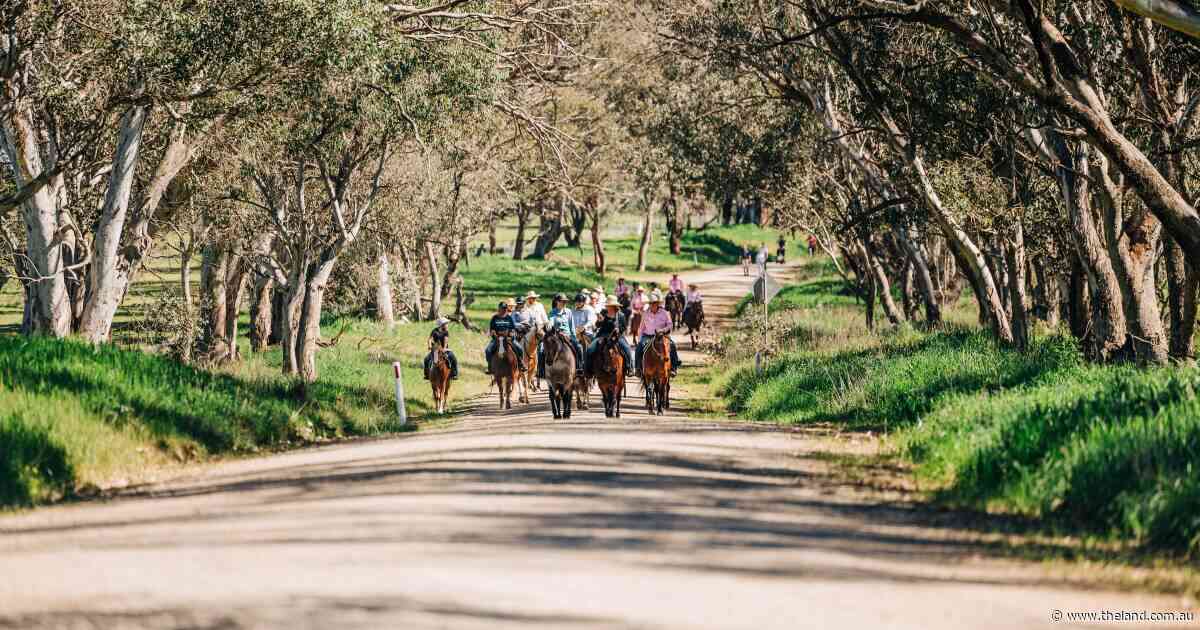 'The right to host is not a right to impose': community rides against Yass Valley turbines