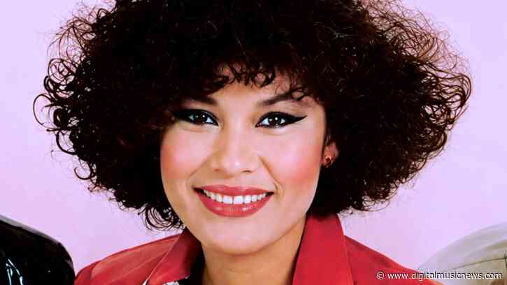 Can Shein Sidestep Liability for Selena Knock-Offs?
