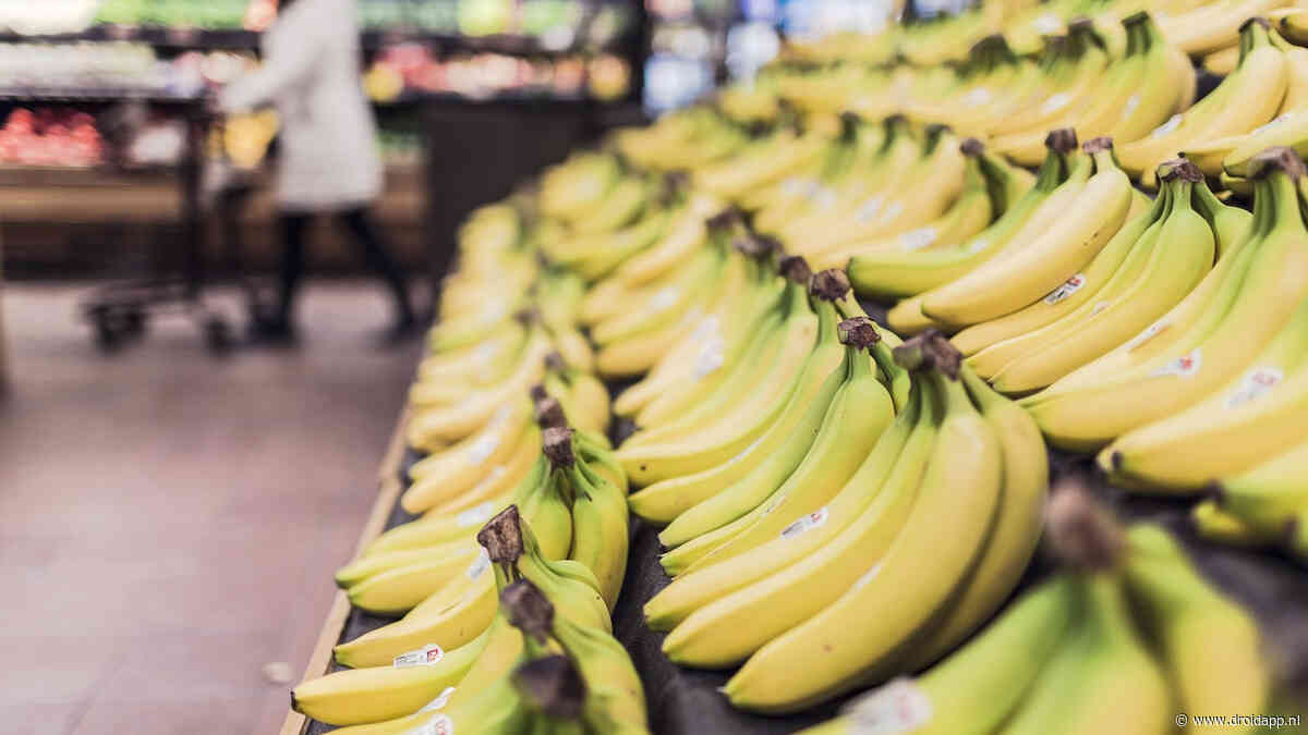 Winkelmandje app geeft je boodschappen een handige gezondheidsscore