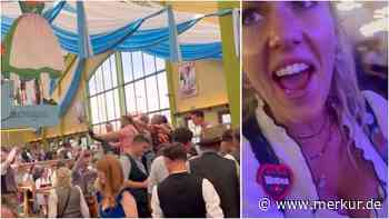 Wiesn-Bedienung filmt kuriosen Zelt-Moment – und ist selbst kurz irritiert: „Weihnachten!“