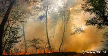 Rampscenario voor natuurbrand op de Oirschotse Heide: kazernegebouwen gaan in vlammen op en vliegveld dicht