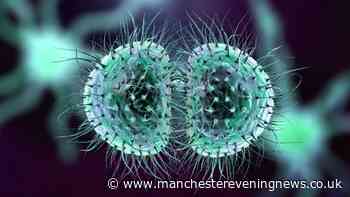 Scientists make 'unusual' discovery about Kent meningitis outbreak that killed two