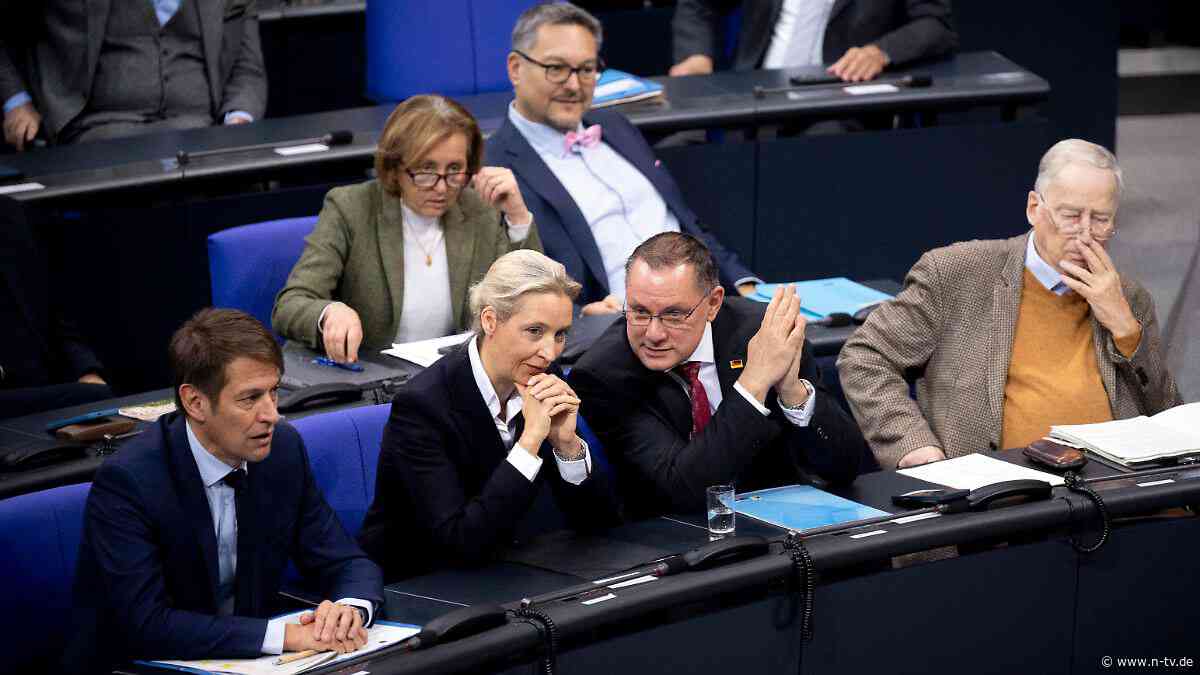 Bericht über internes Papier: AfD bereitet sich auf Minderheitsregierung der Union vor