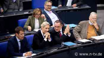 Bericht über internes Papier: AfD bereitet sich auf Minderheitsregierung der Union vor