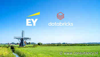 EY en Databricks breiden samenwerking op Nederlandse markt verder uit