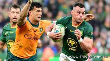 ‘He’s made it look easy’: Springboks rival blown away by Suaalii’s rugby transition