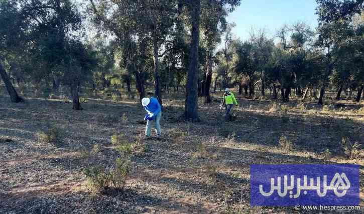 دراسة ترصد تراجع تغذية فرشة المعمورة .. الجفاف يشتد إلى نهاية القرن
