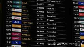 Thousands of flights grounded at major US airports after worker 'accidentally cuts cable'