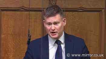 New DfT response over new law for all cat owners in UK as October showdown looms