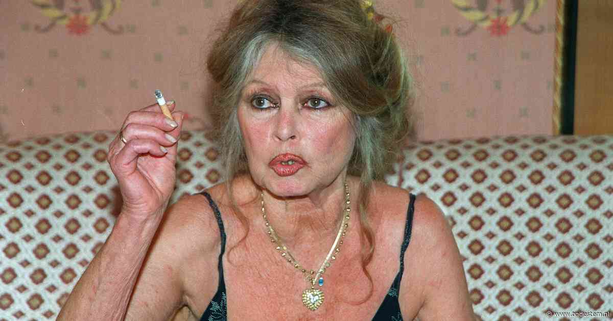 Veiling van persoonlijke spullen Brigitte Bardot brengt bijna 1 miljoen euro op